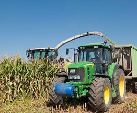 Futterernte. Zwei Traktoren arbeiten auf einem Feld, einer erntet Mais, w&auml;hrend der andere einen Anh&auml;nger zieht.